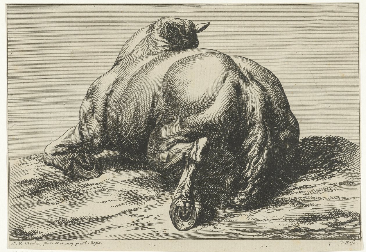 En hest der ligger på maven set bagfra af Jan van Huchtenburgh