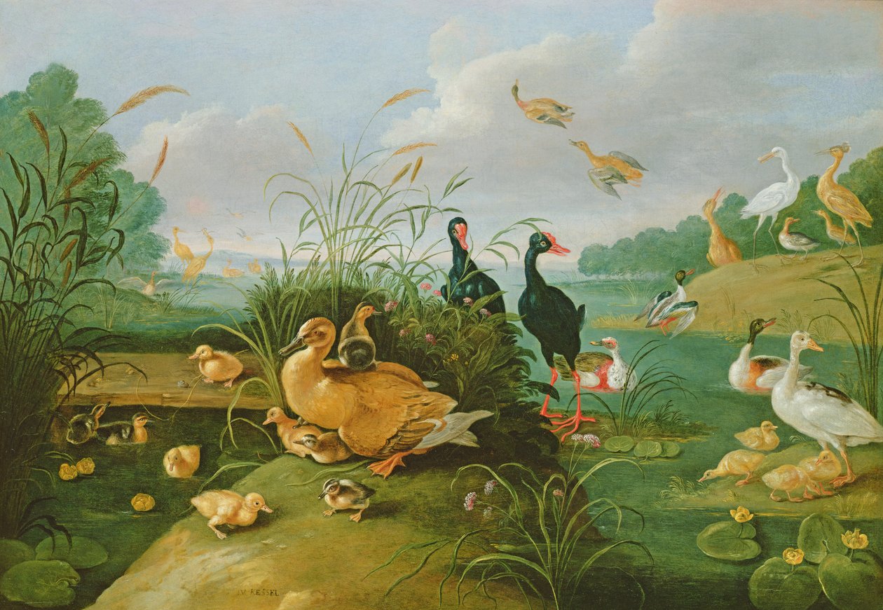Dekorative høns og ællinger af Jan van Kessel the Elder