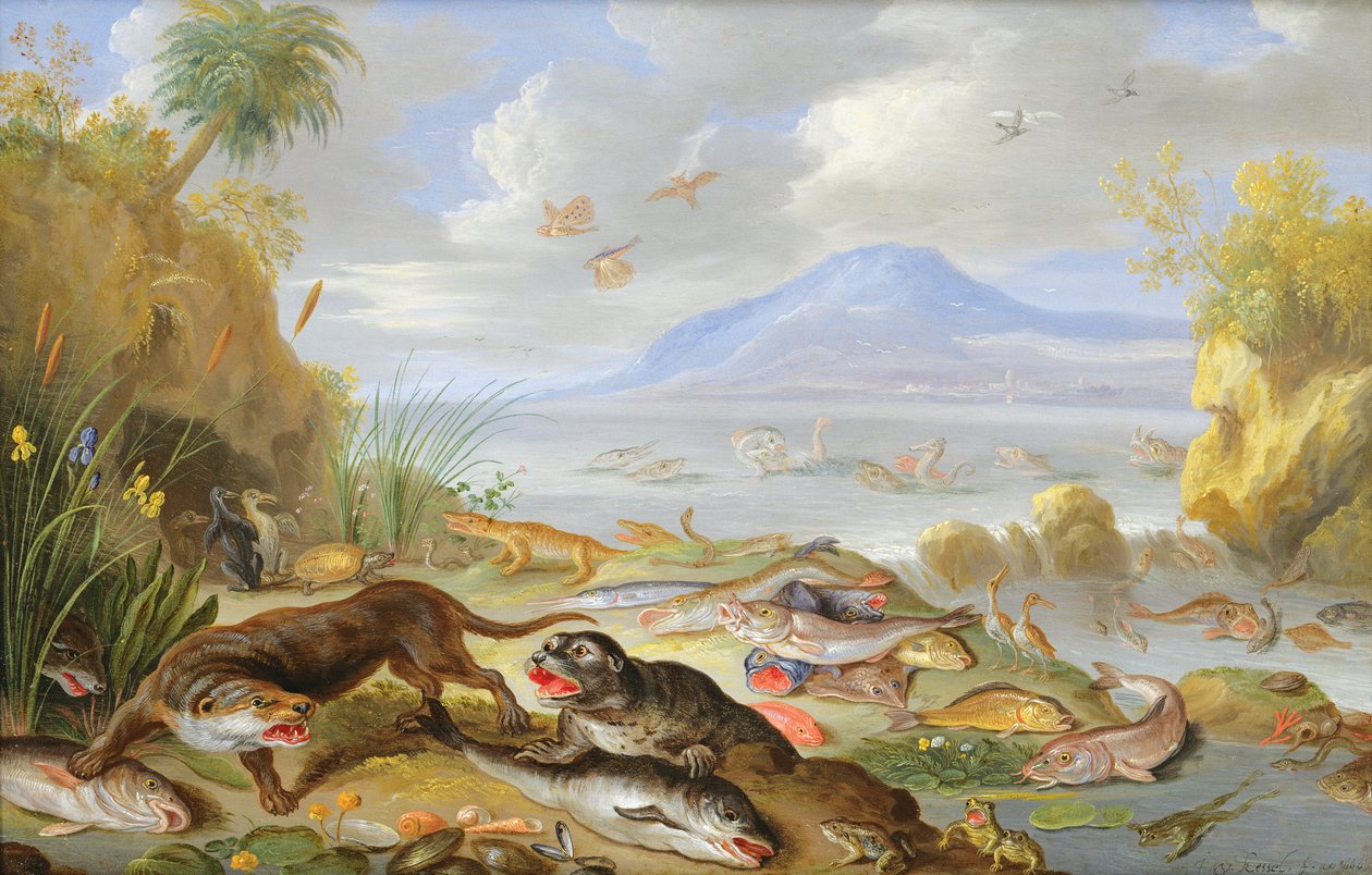 The Element of Water, 1660 (olie på kobber) af Jan van Kessel the Elder