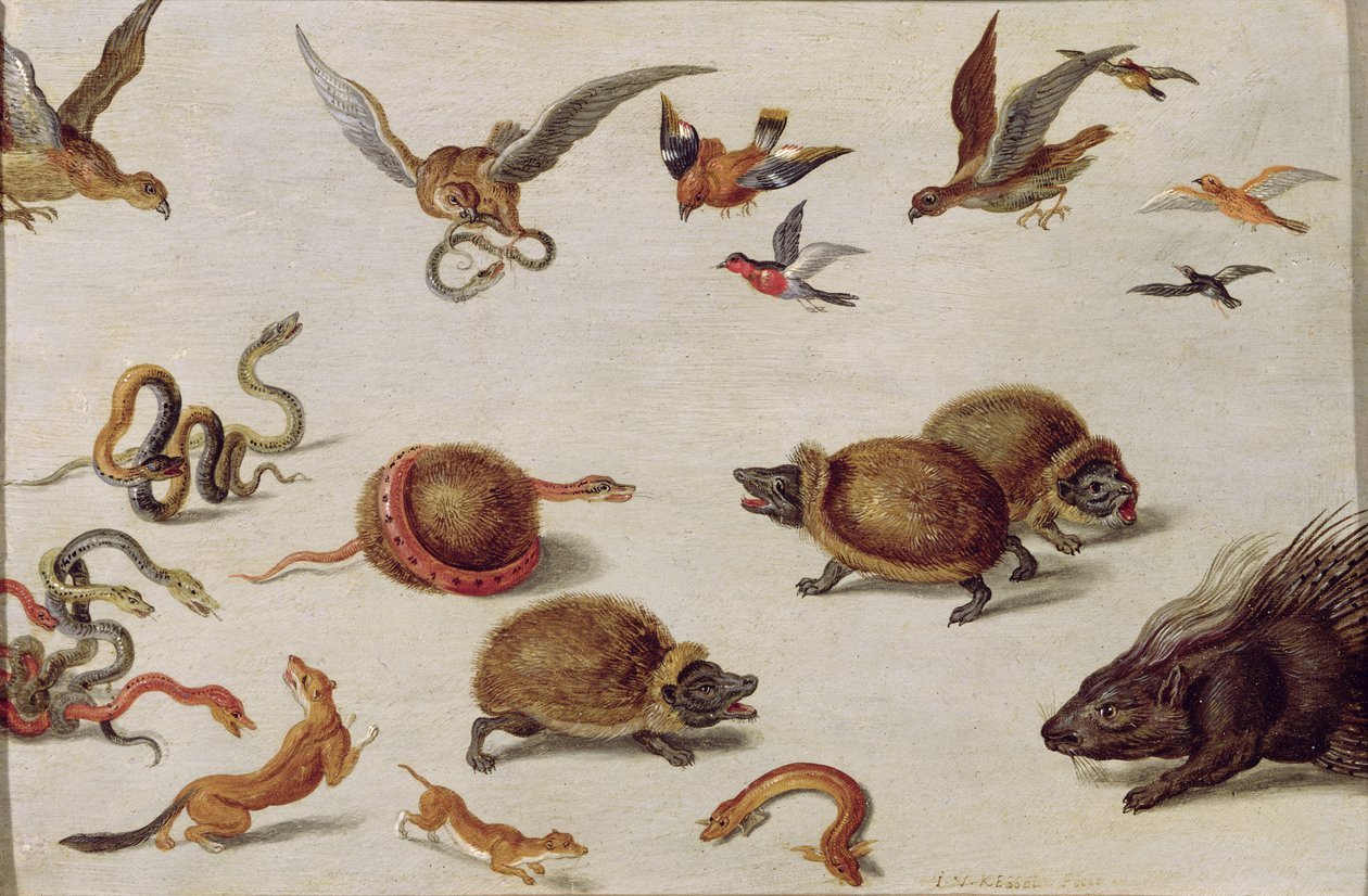 Slangernes fjender af Jan van Kessel the Elder