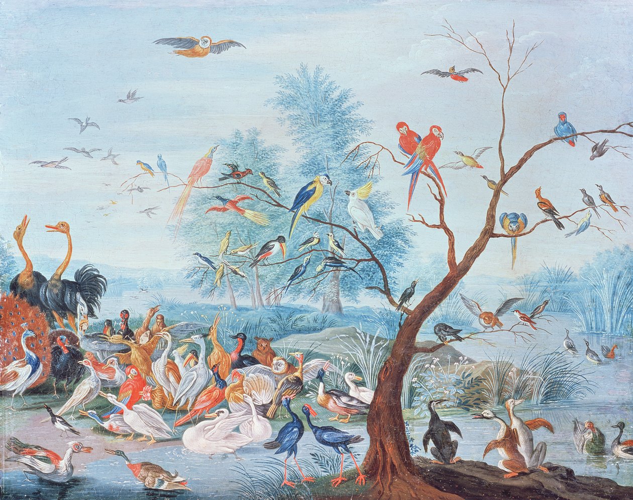 Tropiske fugle i et landskab af Jan van Kessel the Elder