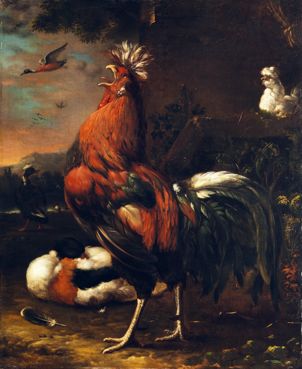 Stolt hane af Jan van Oolen
