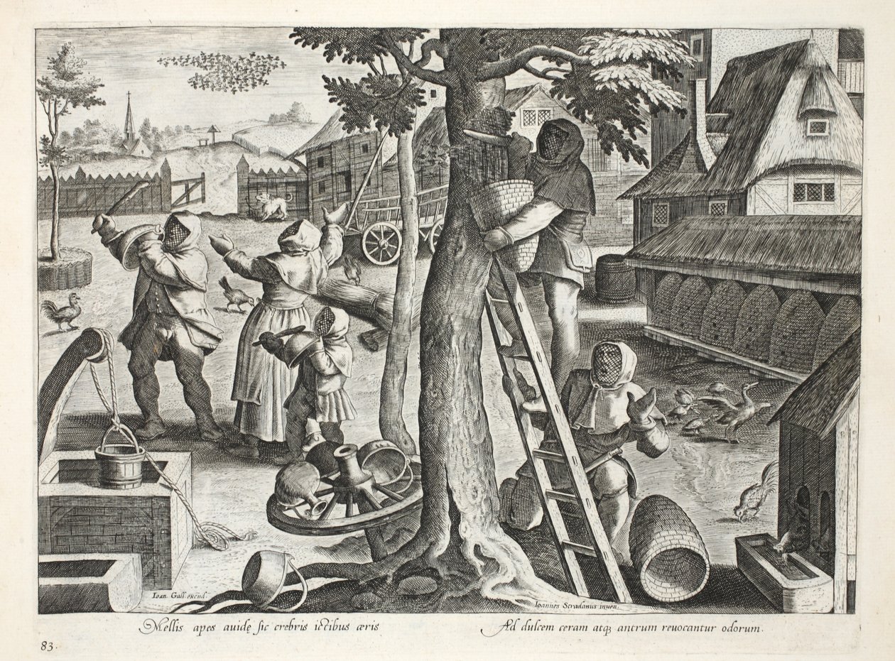 Biavlere, tallerken 83, illustration fra 
