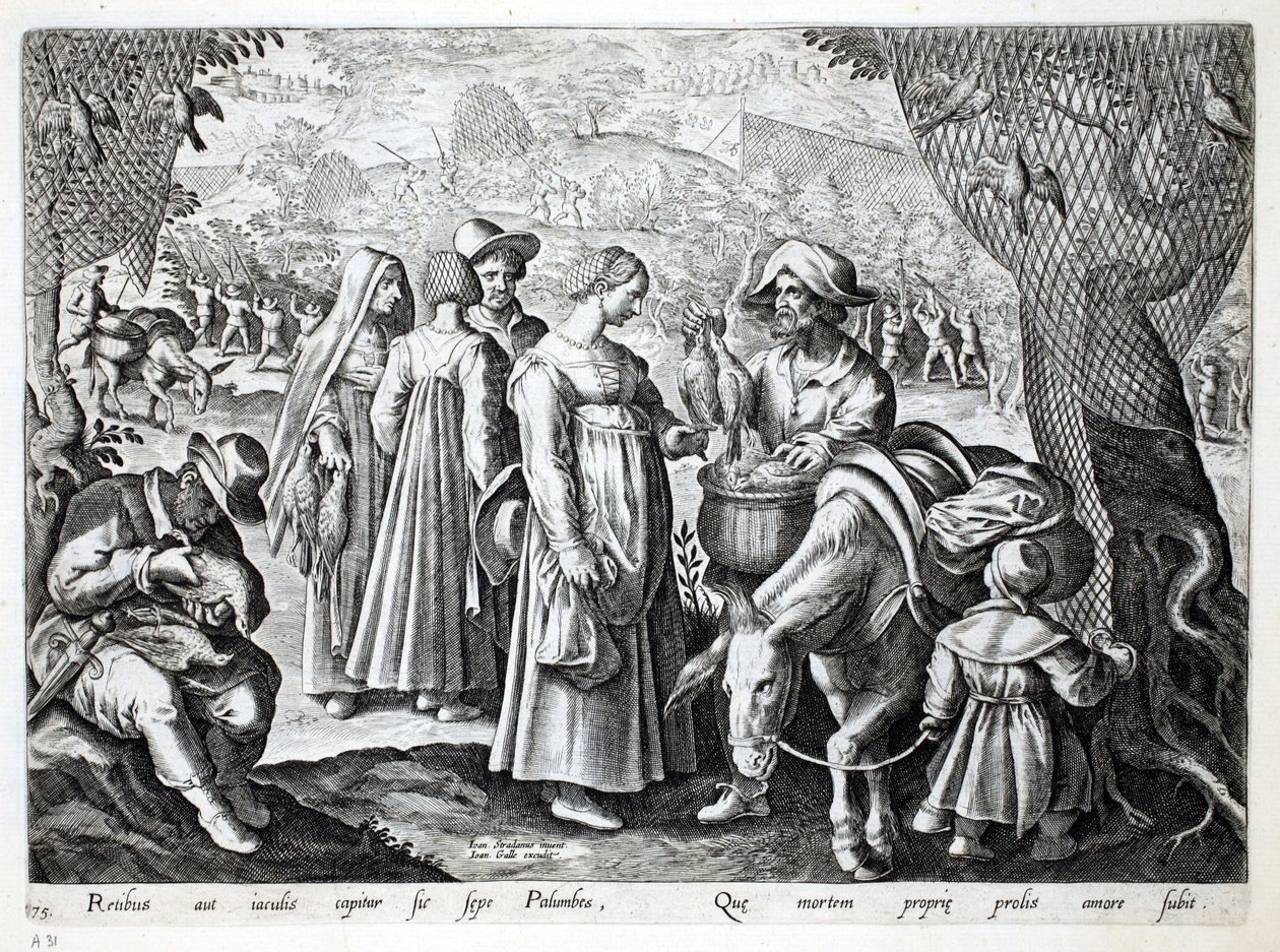 Fuglefangere sælger ringdue, illustration fra "Venationes, Ferarum, Avium, Piscium" (Om jagt: vilde dyr, fugle, fisk), graveret af Jan Collaert (1566-1628), udgivet af Phillipus Gallaeus, Amst. af Jan van der Straet