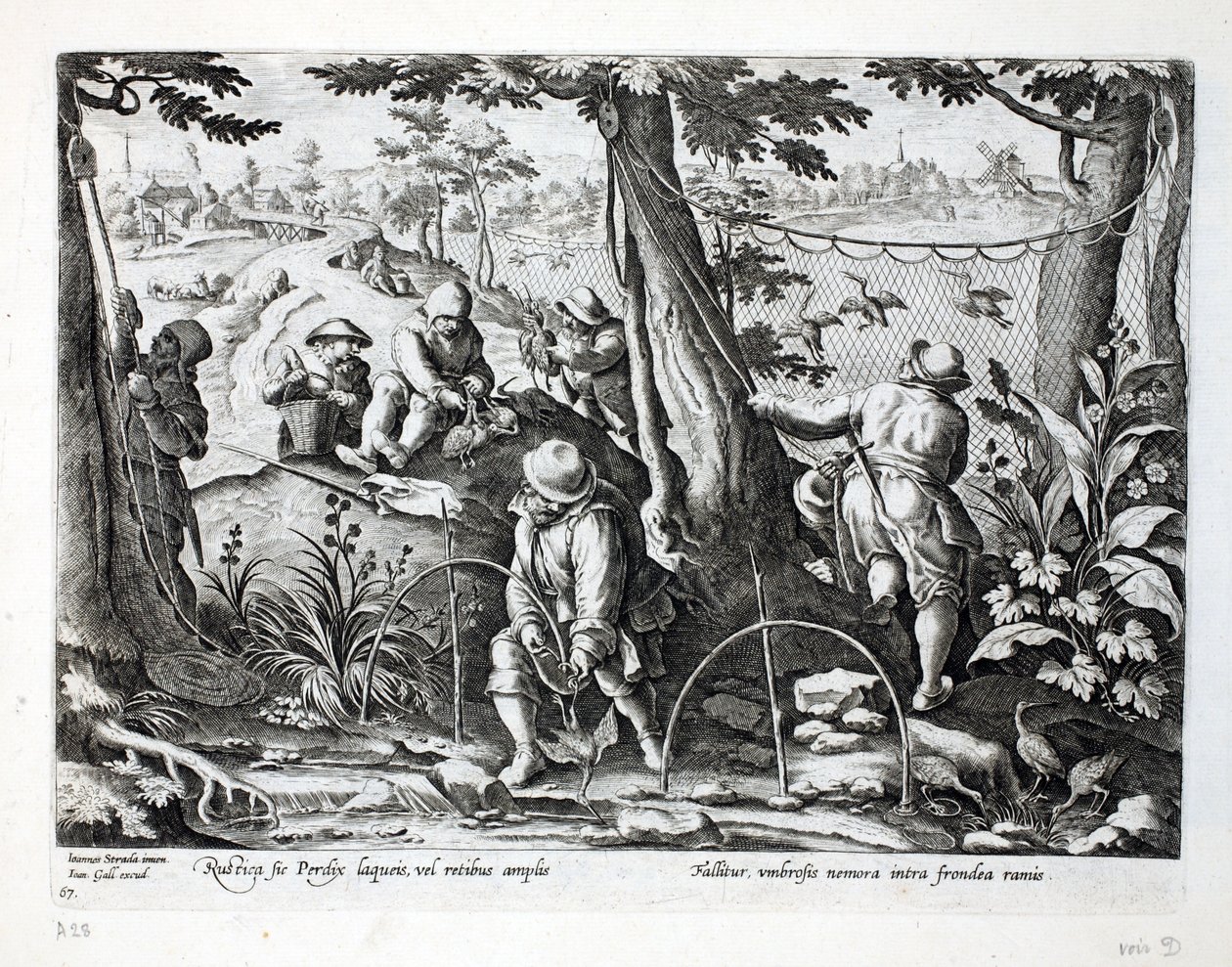 Fuglefangere, der bruger fælder til at fange agerhøne, illustration fra 