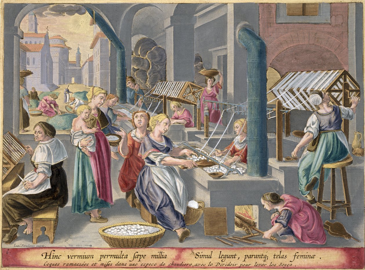 Kogning af kokosnødder for at ødelægge krysaliderne og blødgøre trådene, og optrækning af dem til silke, plade 6 fra "Vermis Sericus" (Silkeormen), graveret af Philip Galle (1537-1612) af Jan van der Straet