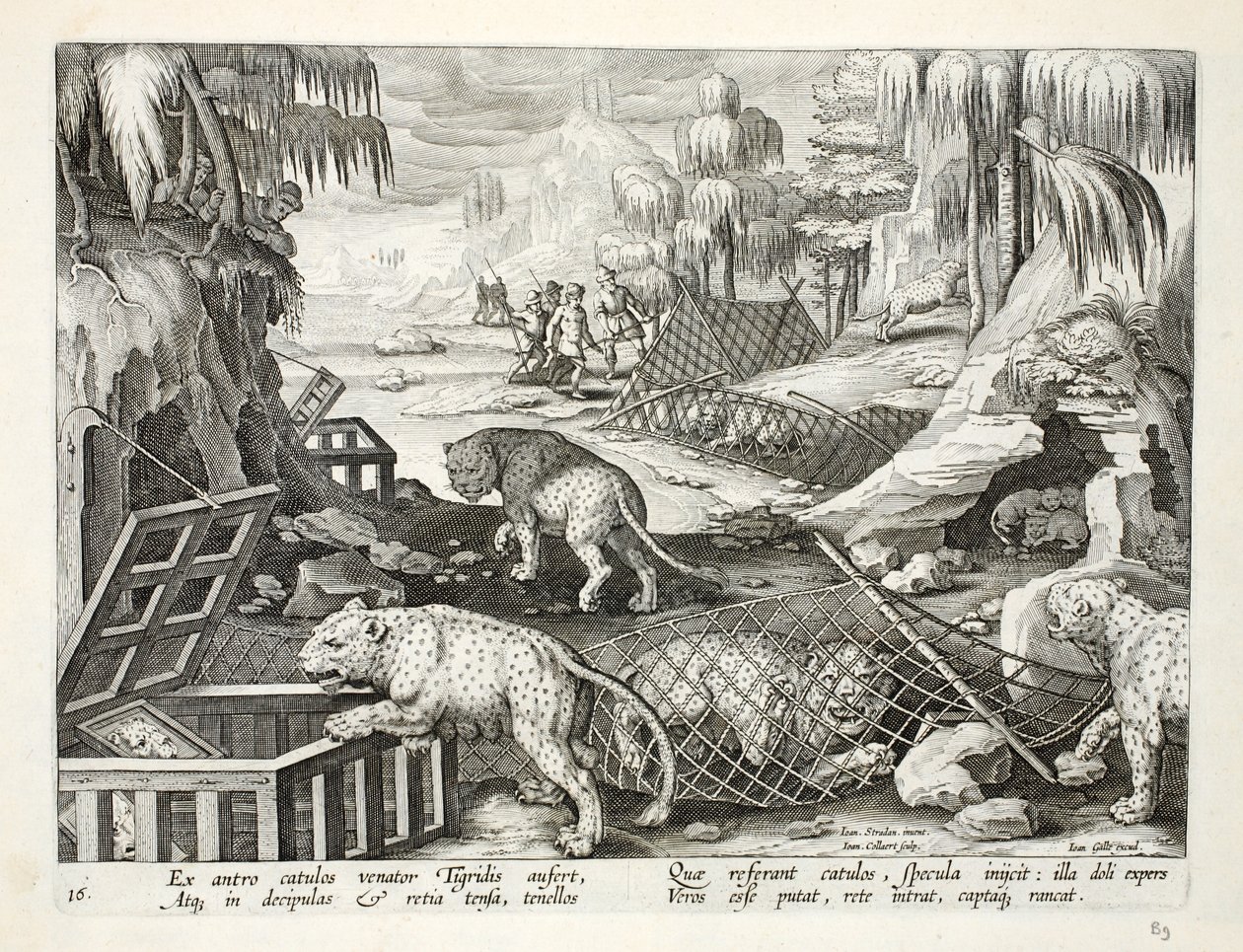 Fangst af leoparder ved hjælp af net og bure med spejle som lokkemad, illustration fra "Venationes, Ferarum, Avium, Piscium" (Om jagt: vilde dyr, fugle, fisk), graveret af Jan Collaert (1566-1 af Jan van der Straet