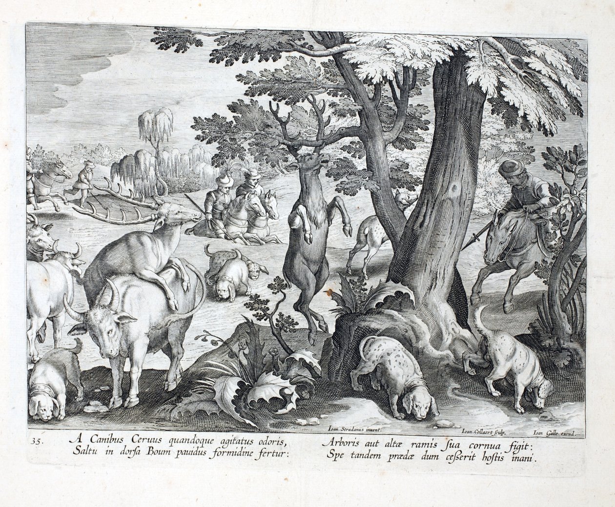 Hunde forfølger hjorte af duft, man hopper i rædsel, sætter sit gevir fast på de høje grene af et træ, illustration fra 