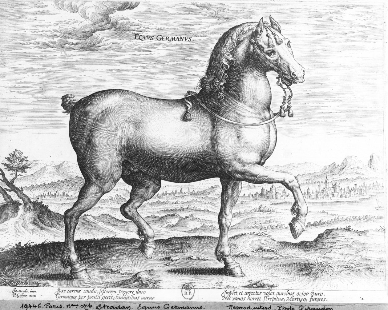 tysk hest af Jan van der Straet