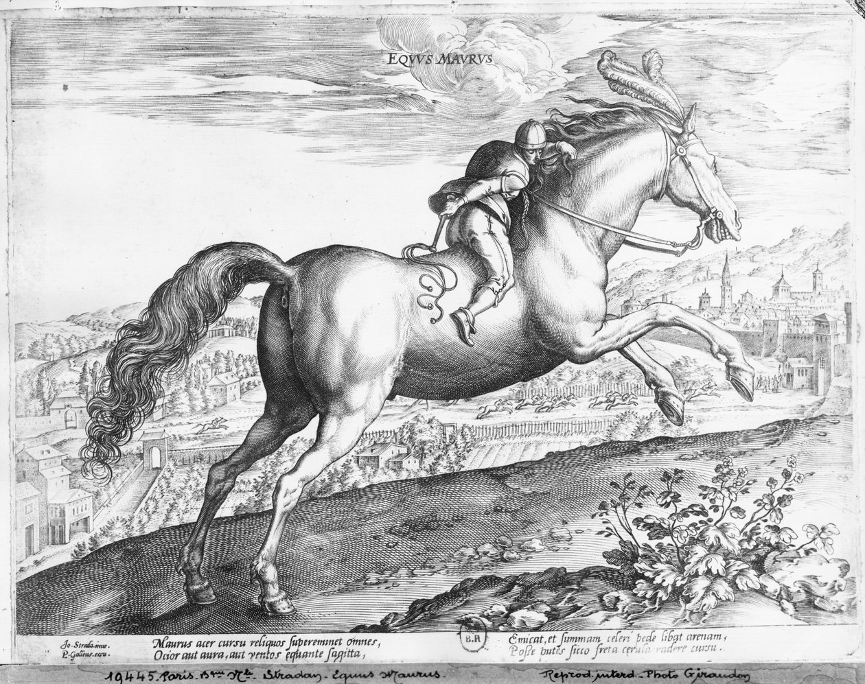 Heste Moor af Jan van der Straet