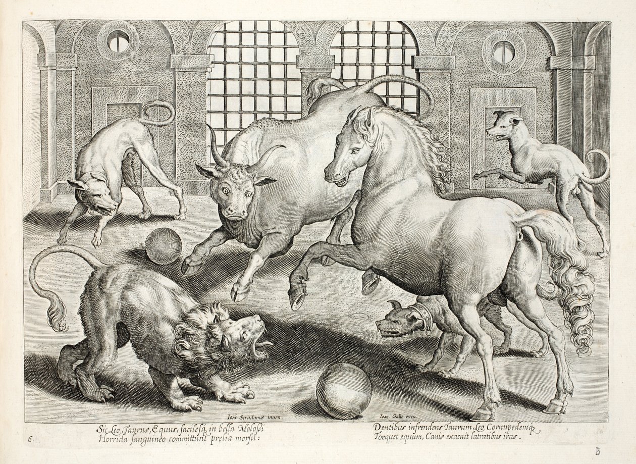 Hårde, blodige kampe mellem en løve, tyr og hest, omgivet af vrede gøende hunde, illustration fra 