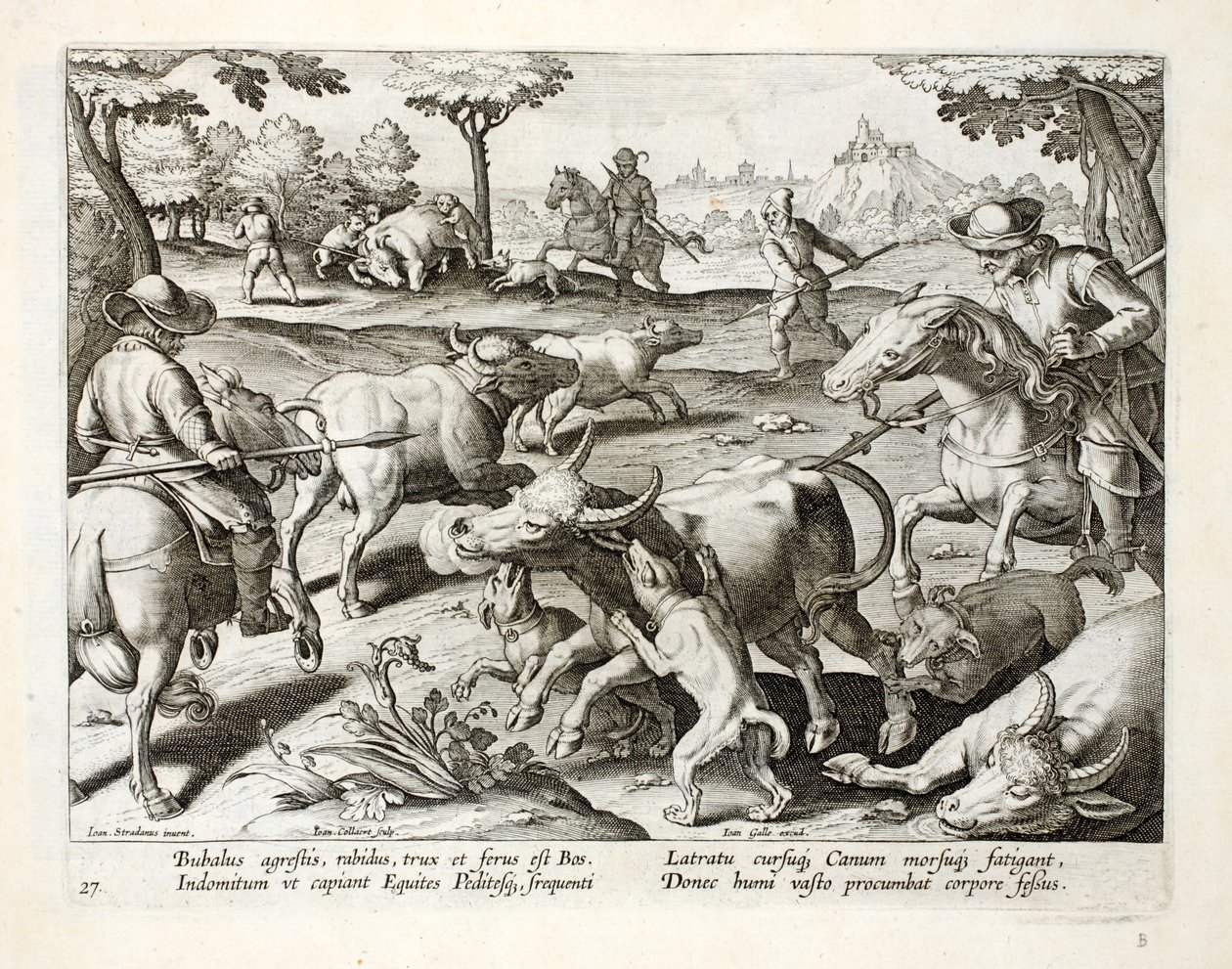 Jagt vild okse, illustration fra 