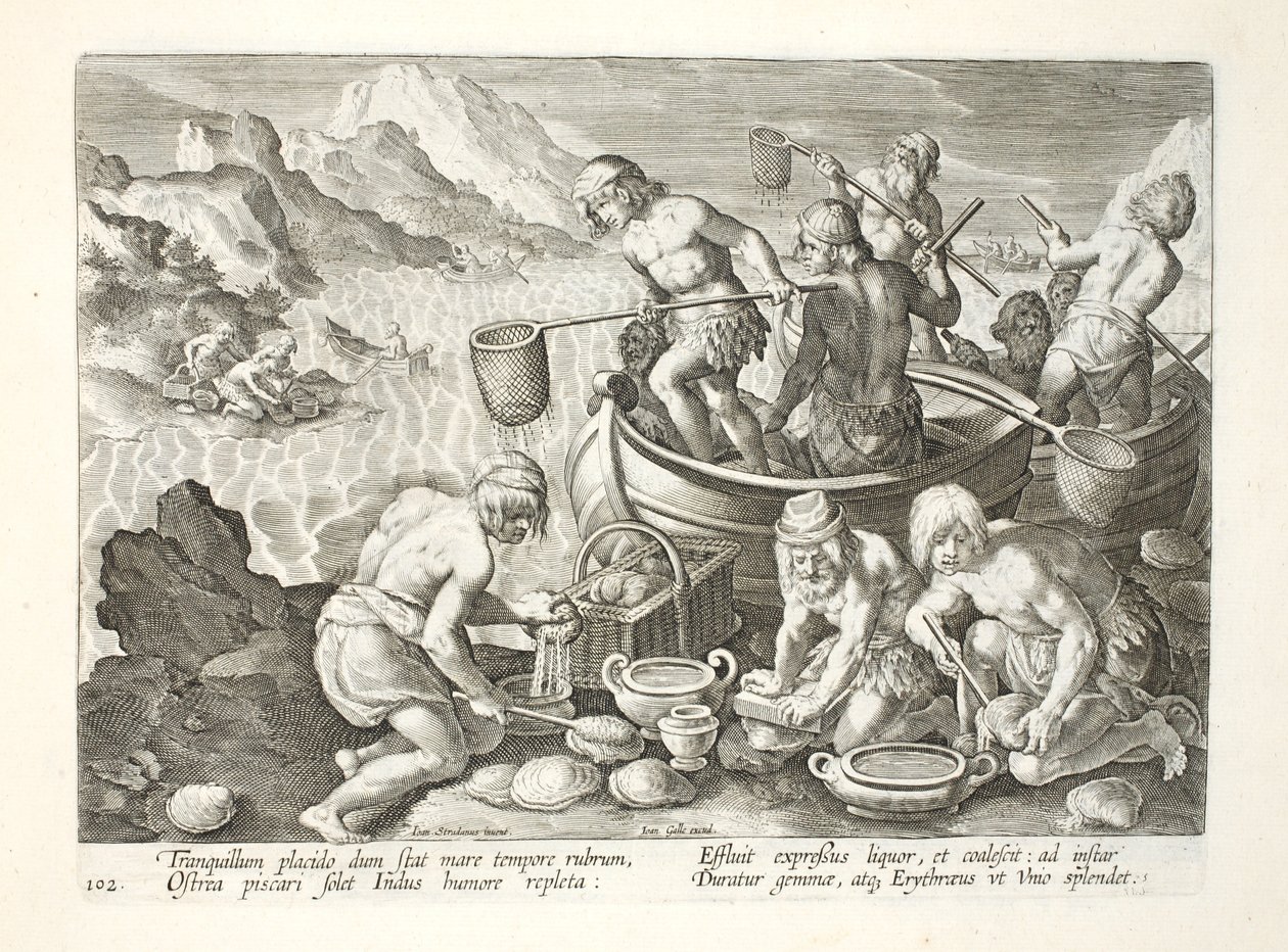 Natives Fishing for Giant Clams on the Indus, plade 102, illustration fra 