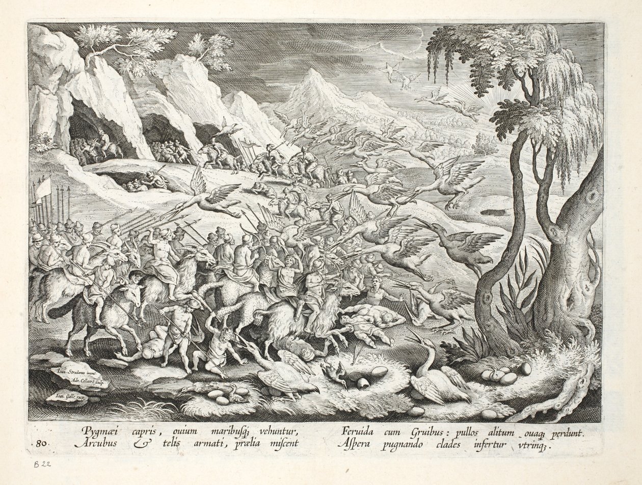 Pygmæer på geder på jagt efter Trane, illustration fra "Venationes, Ferarum, Avium, Piscium" (Om jagt: vilde dyr, fugle, fisk), graveret af Jan Collaert (1566-1628), udgivet af Phillipus Gallaeus, Amster af Jan van der Straet