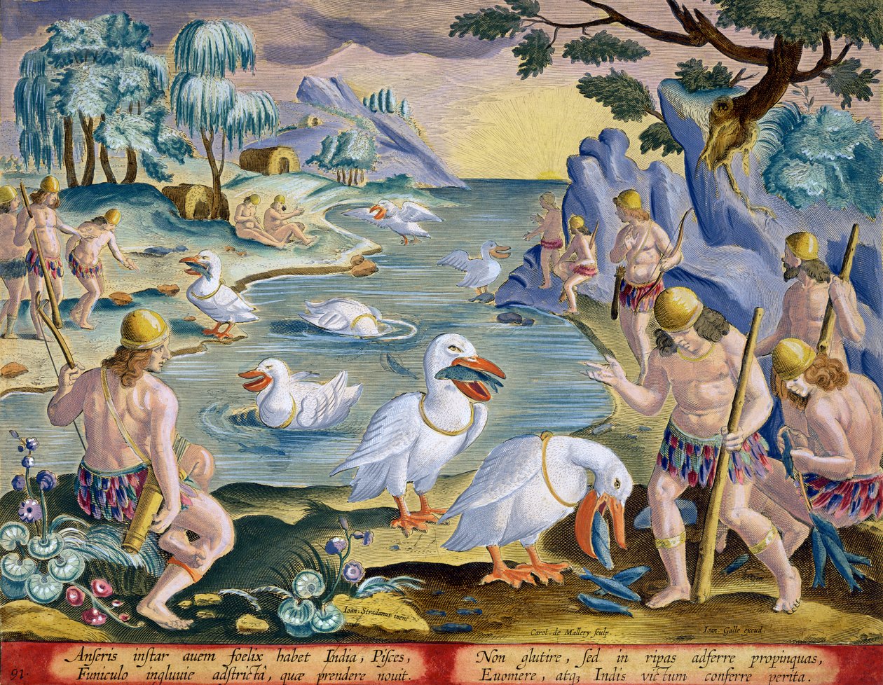 Halvnøgne vilde fra Indien, der bruger pelikaner til at fange fisk, plade 91 fra 