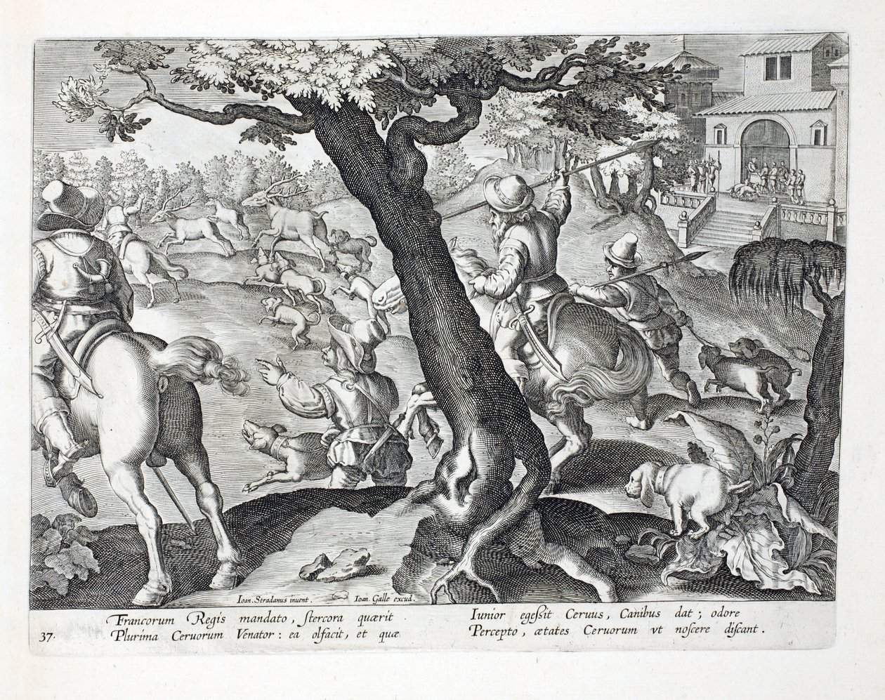 Den franske konge kronhjort jagt med hunde, illustration fra 