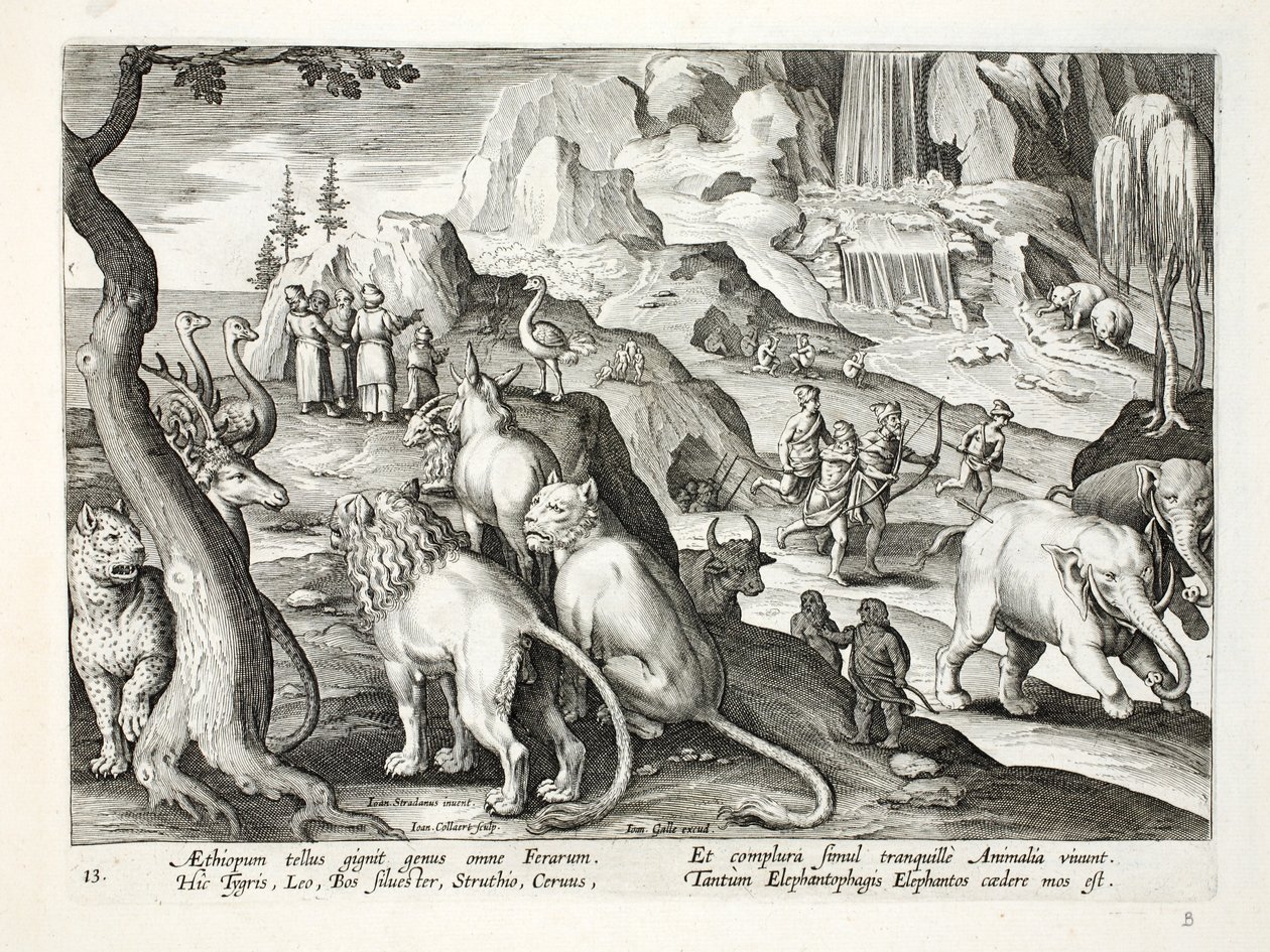 Regionen Etiopien producerer alle slags udyr - tigre, løver, vilde okser, strudse, hjorte og andre dyr lever fredeligt sammen. Det er skik at jage elefanter, illustration fra 