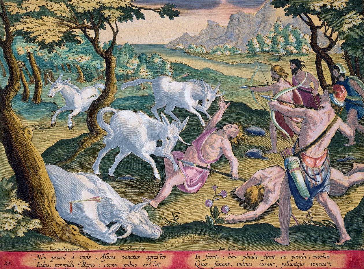 Unicorns on the Banks of the Indus, jaget med kongens tilladelse, plade 29 fra 