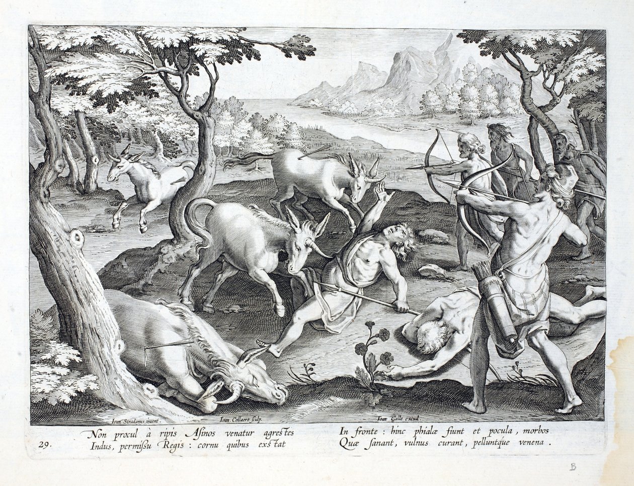 Enhjørninger på bredden af Indus, jaget med tilladelse fra kongen, illustration fra 