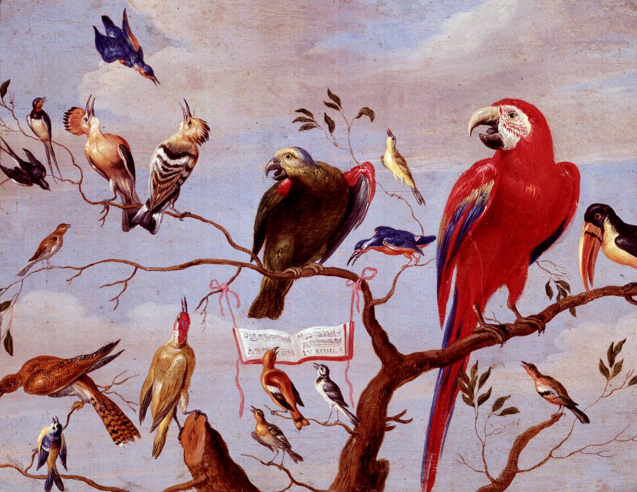A Chorus of Birds, ca. 1650-1675 (olie på metal) af Jan van Kessel the Elder