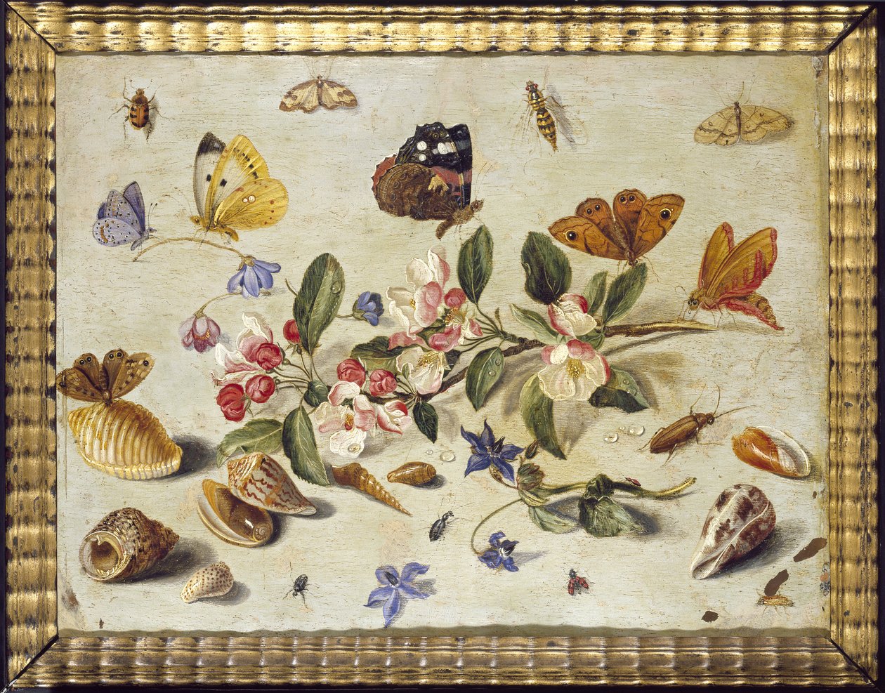 Et studie af blomster og insekter (olie på kobber) af Jan van Kessel the Elder