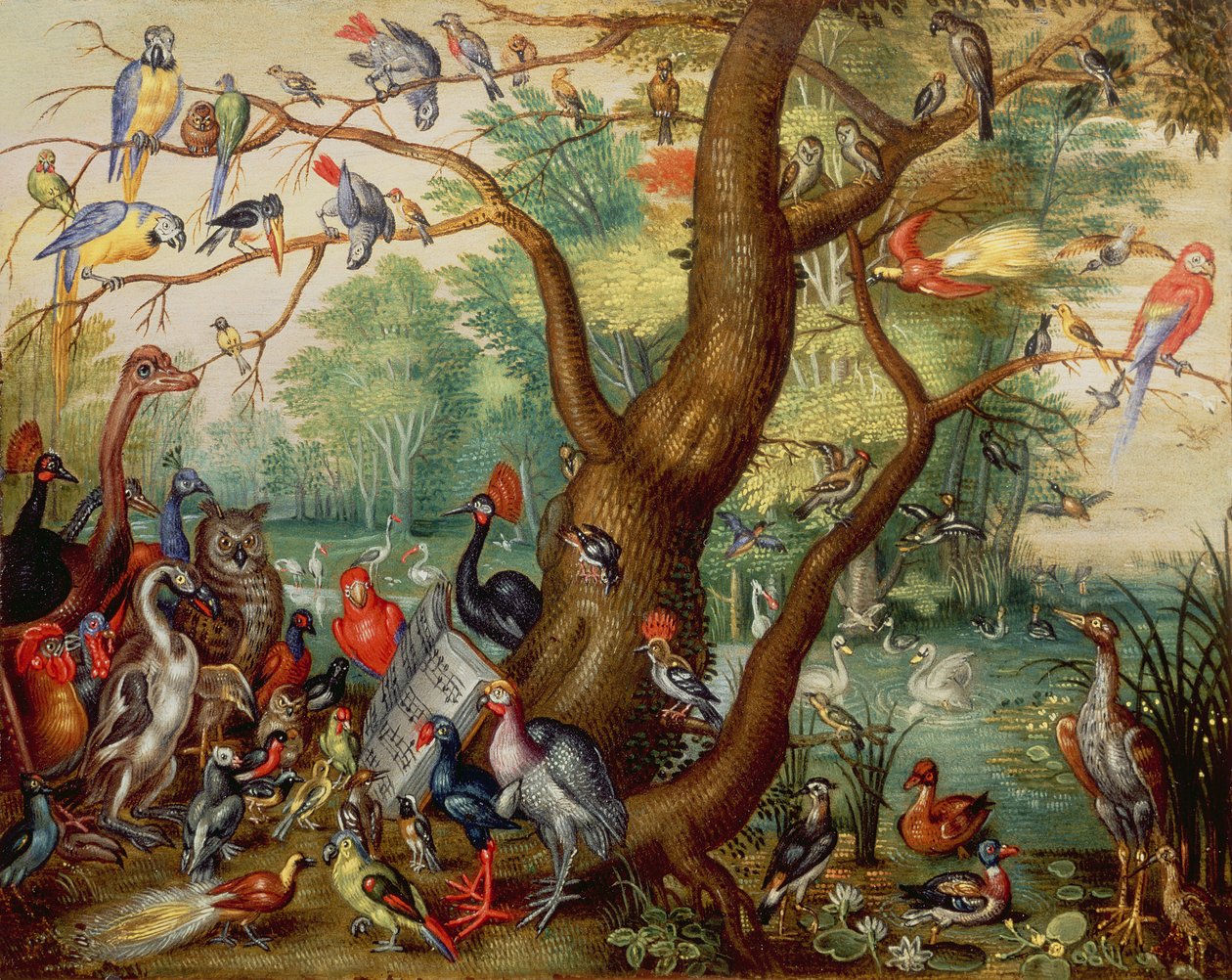 Koncert af fugle (olie på kobber) af Jan van Kessel the Elder