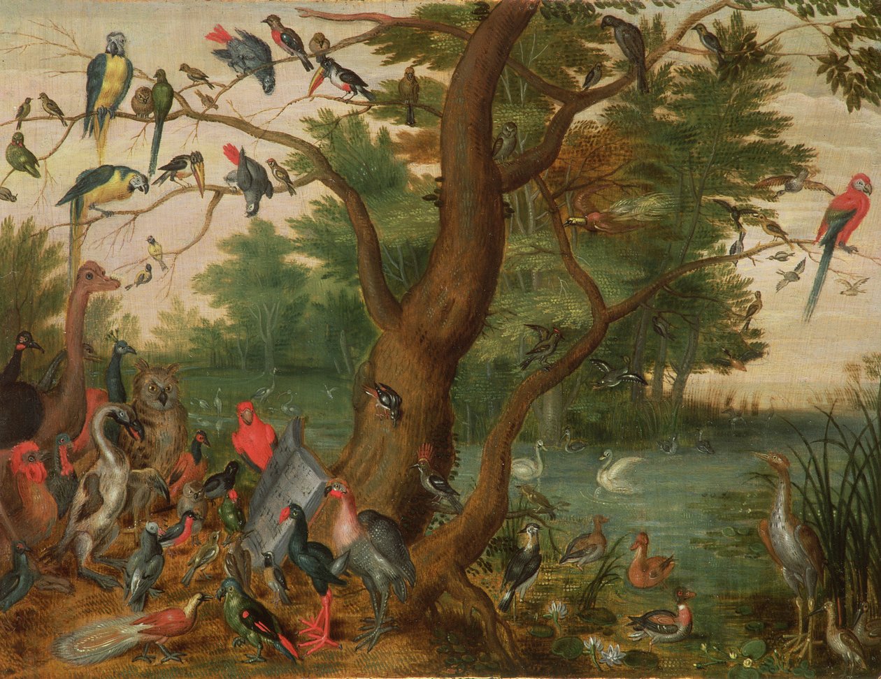 Koncert af fugle (panel) af Jan van Kessel the Elder