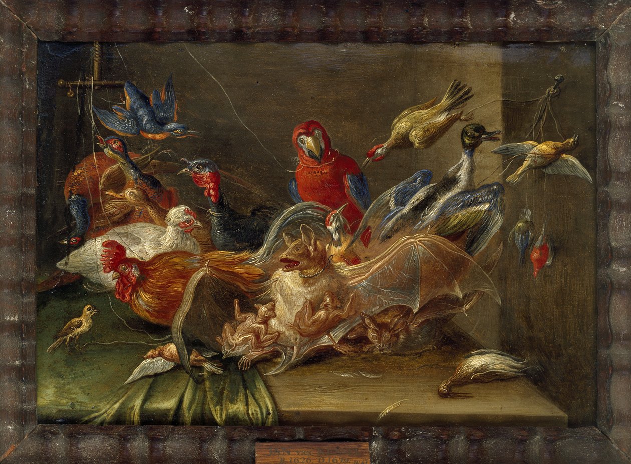 Dekorativt stilleben med fugle og to flagermus (olie på kobber) af Jan van Kessel the Elder