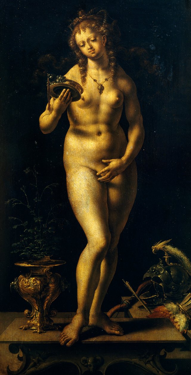 Venus (olie på panel) af Jan (c.1472 c.1533) Gossaert