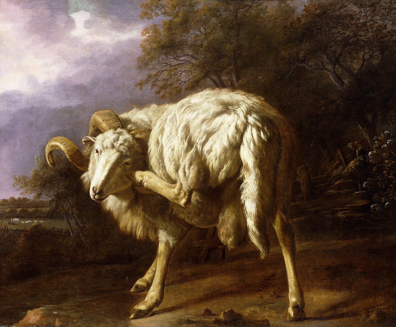 En vædder i et skovklædt landskab, af Jan Baptist Weenix