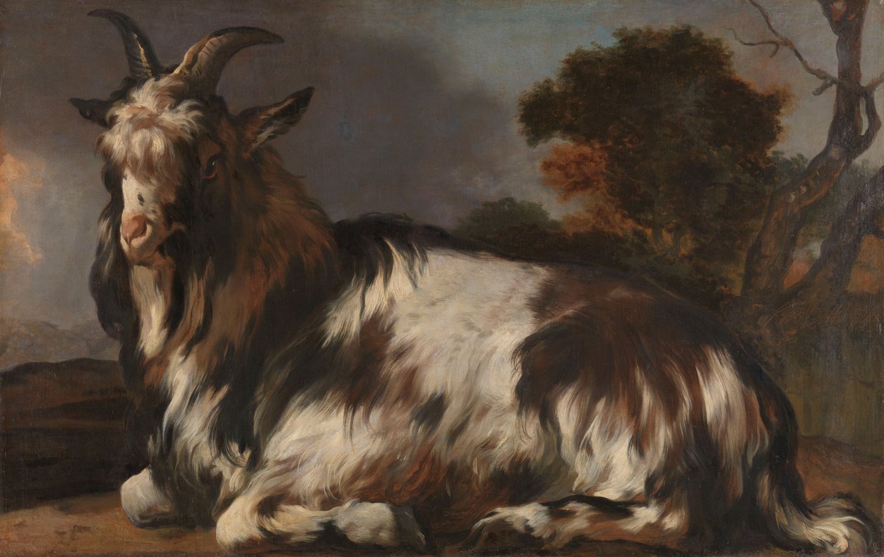 Geden ligger ned af Jan Baptist Weenix