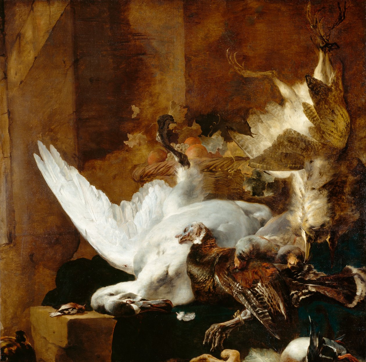 Stilleben med en død svane, ca. 1651 af Jan Baptist Weenix