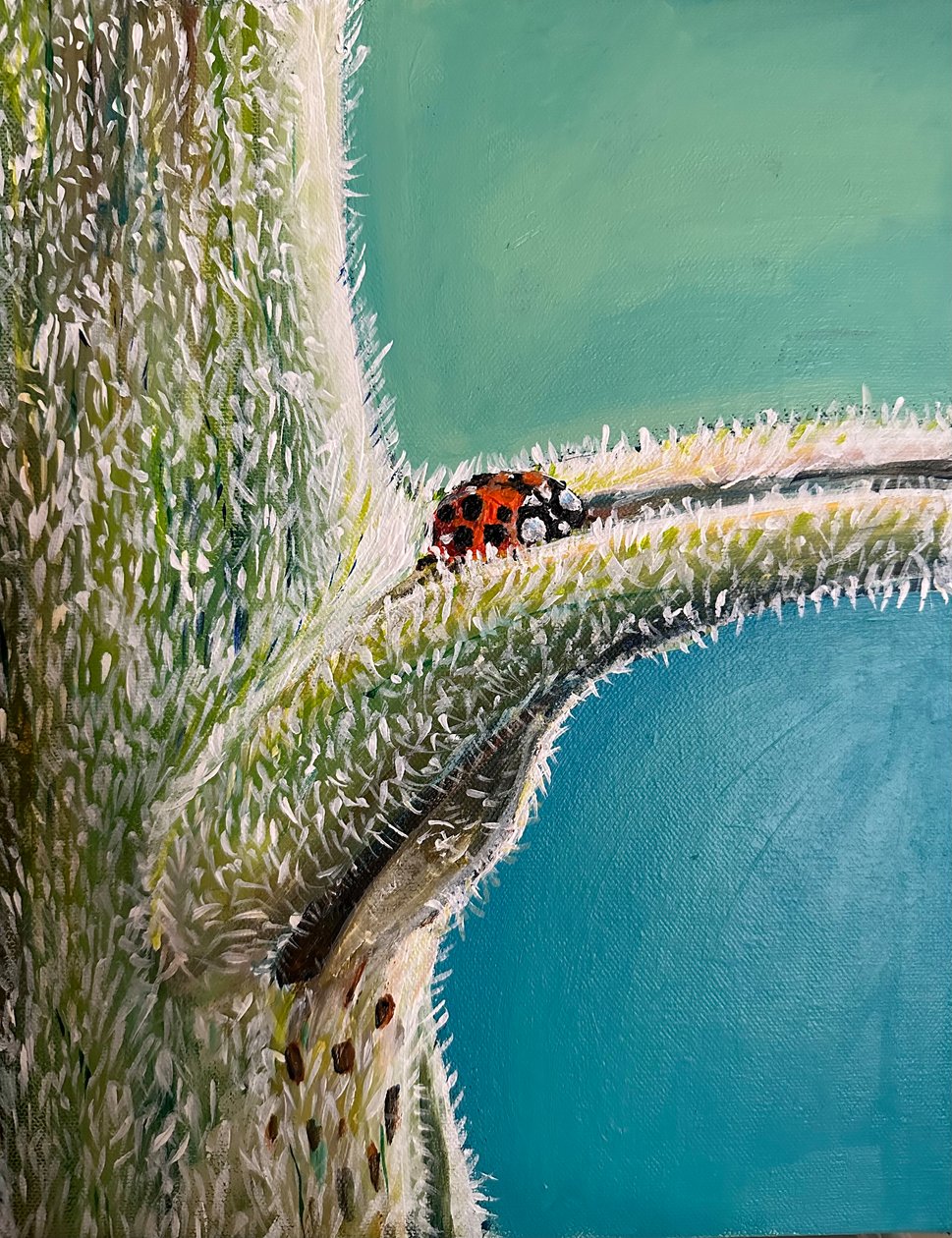 Fly Away Home, 2023 (akryl på lærred) af Jan Barzottini