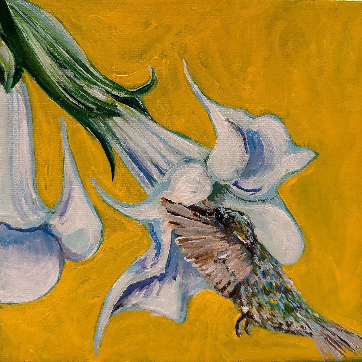Hummingbird, 2023 (akryl på lærred) af Jan Barzottini