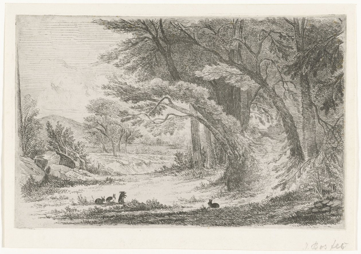 Skovkant med kaniner af Jan Bos Wz. (signed by artist)