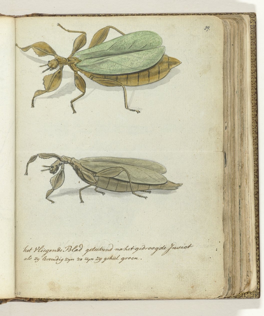 Det flyvende blad af Jan Brandes