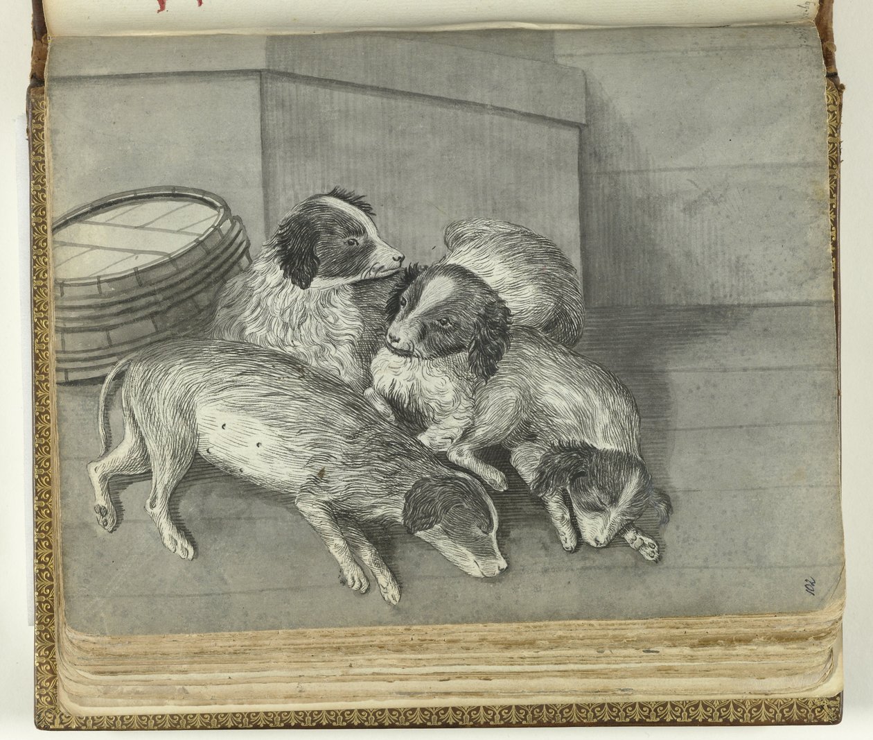 hunde af Jan Brandes