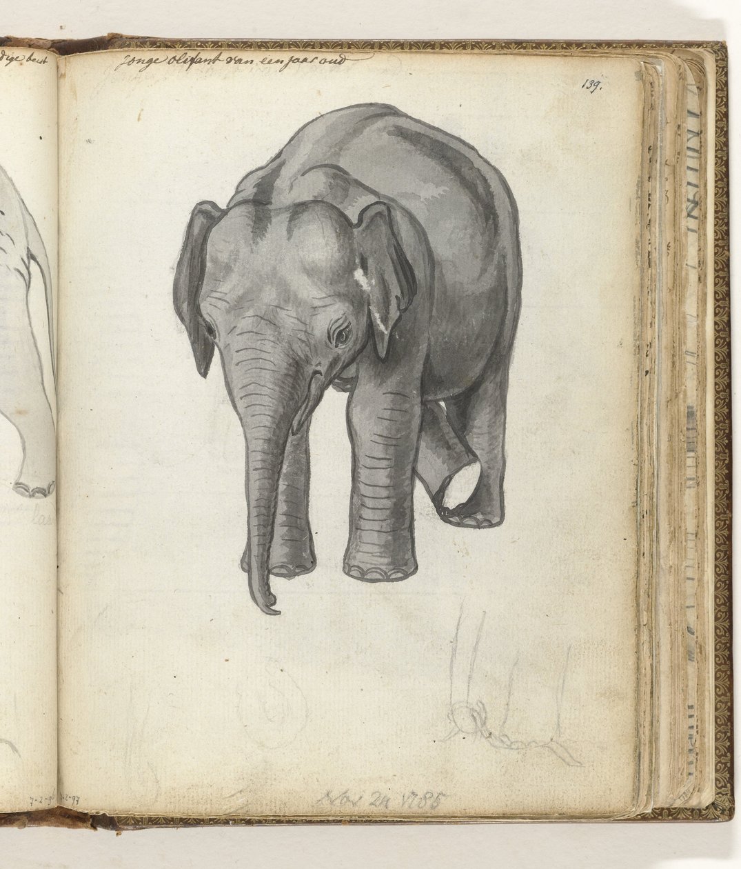 ung elefant af Jan Brandes