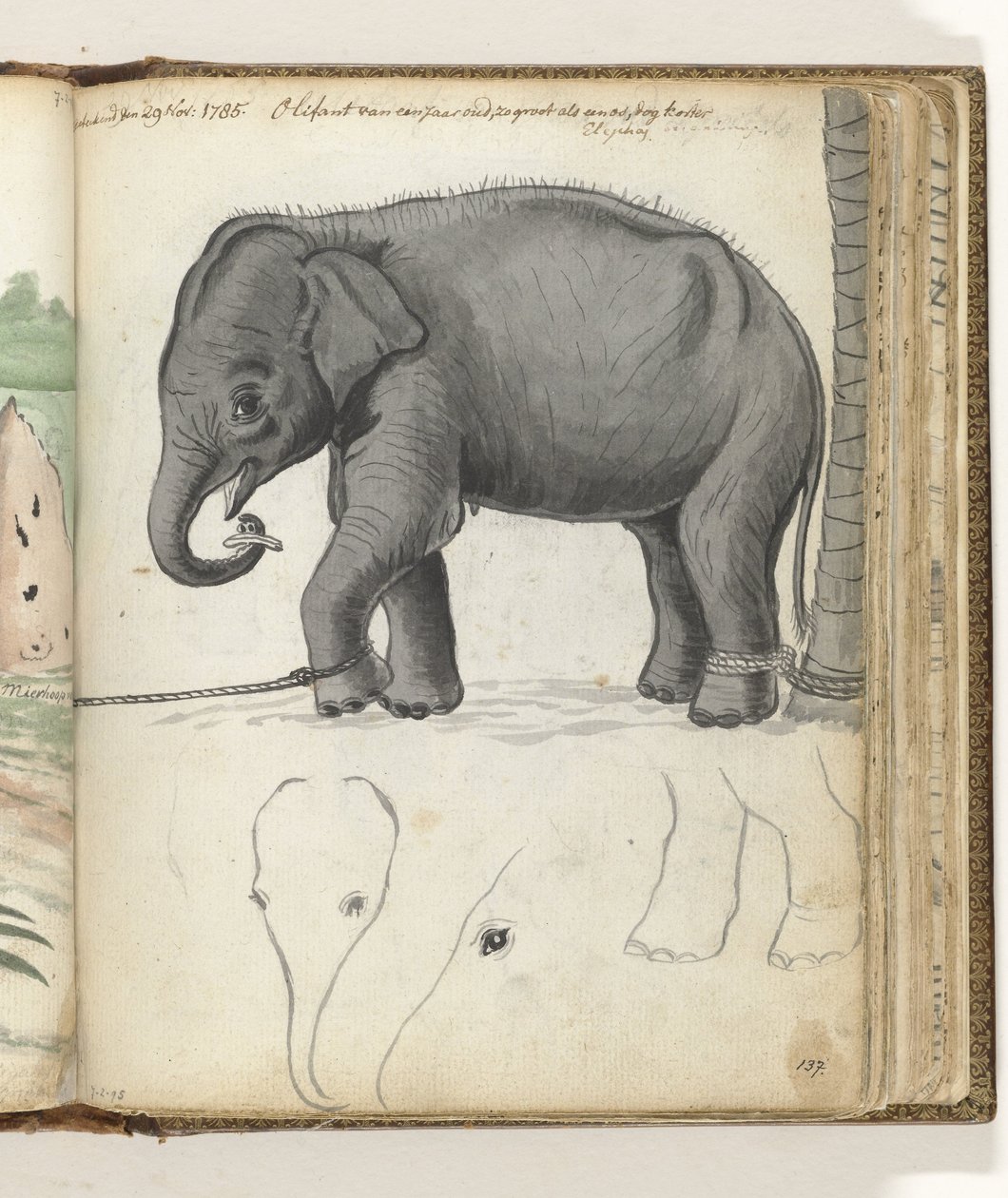Ung elefant på et træ af Jan Brandes