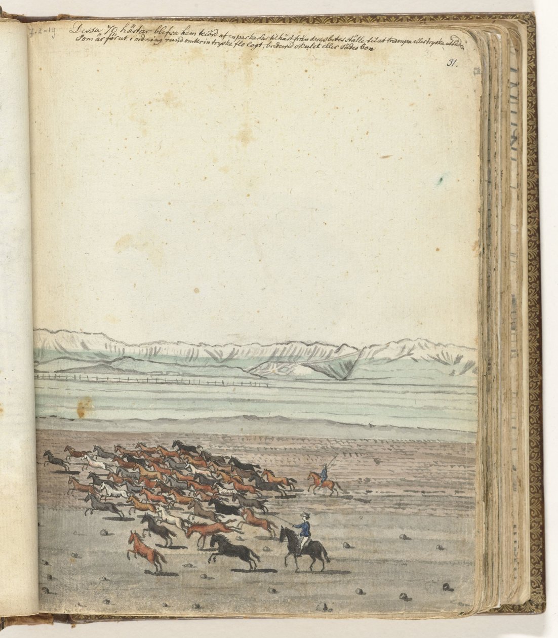 Flok heste af Jan Brandes