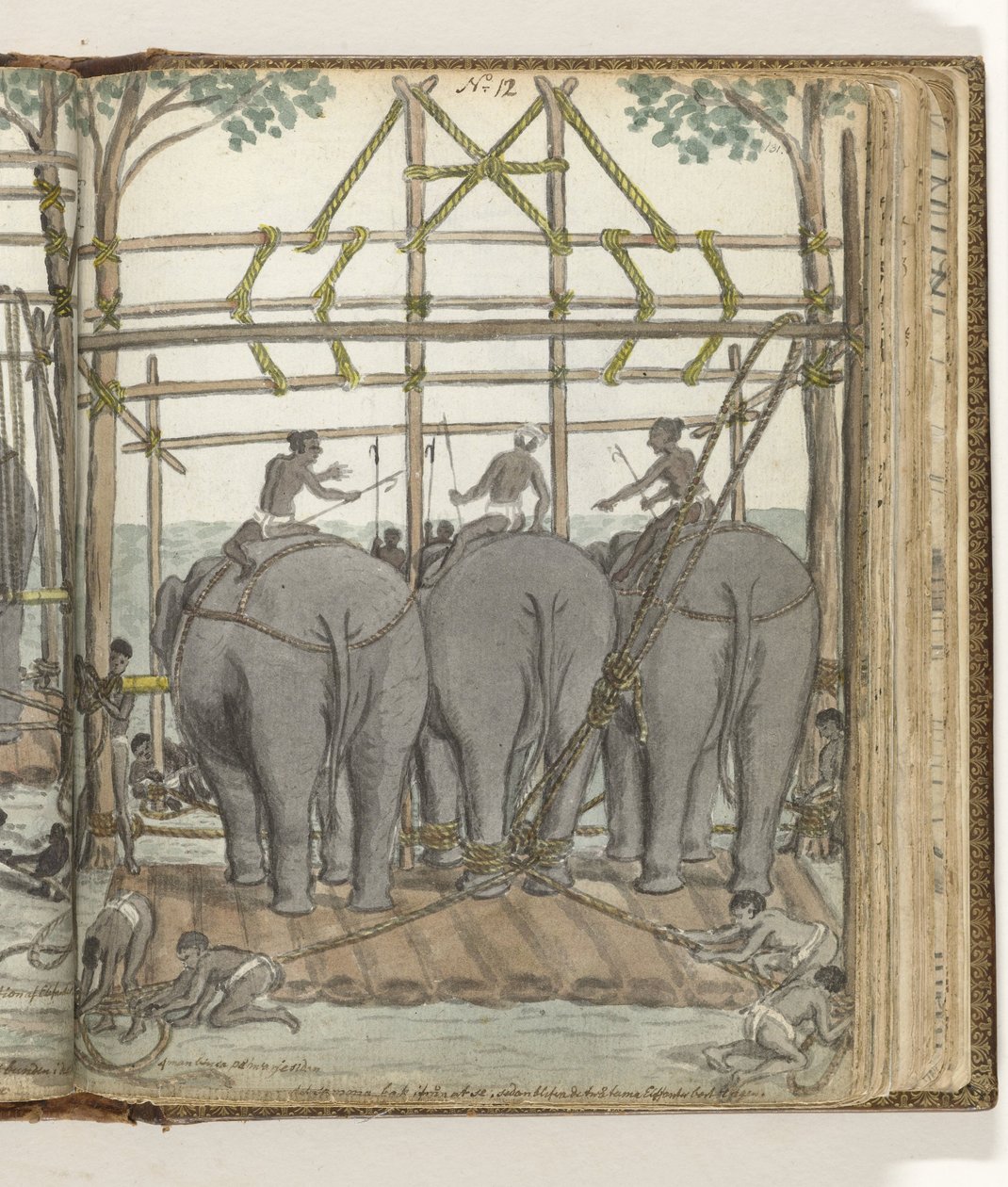 At tæmme en vild elefant i den midlertidige stald, set bagfra af Jan Brandes