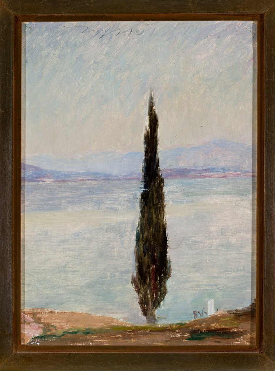 Cyprus. Fra en rejse til Konstantinopel af Jan Ciągliński