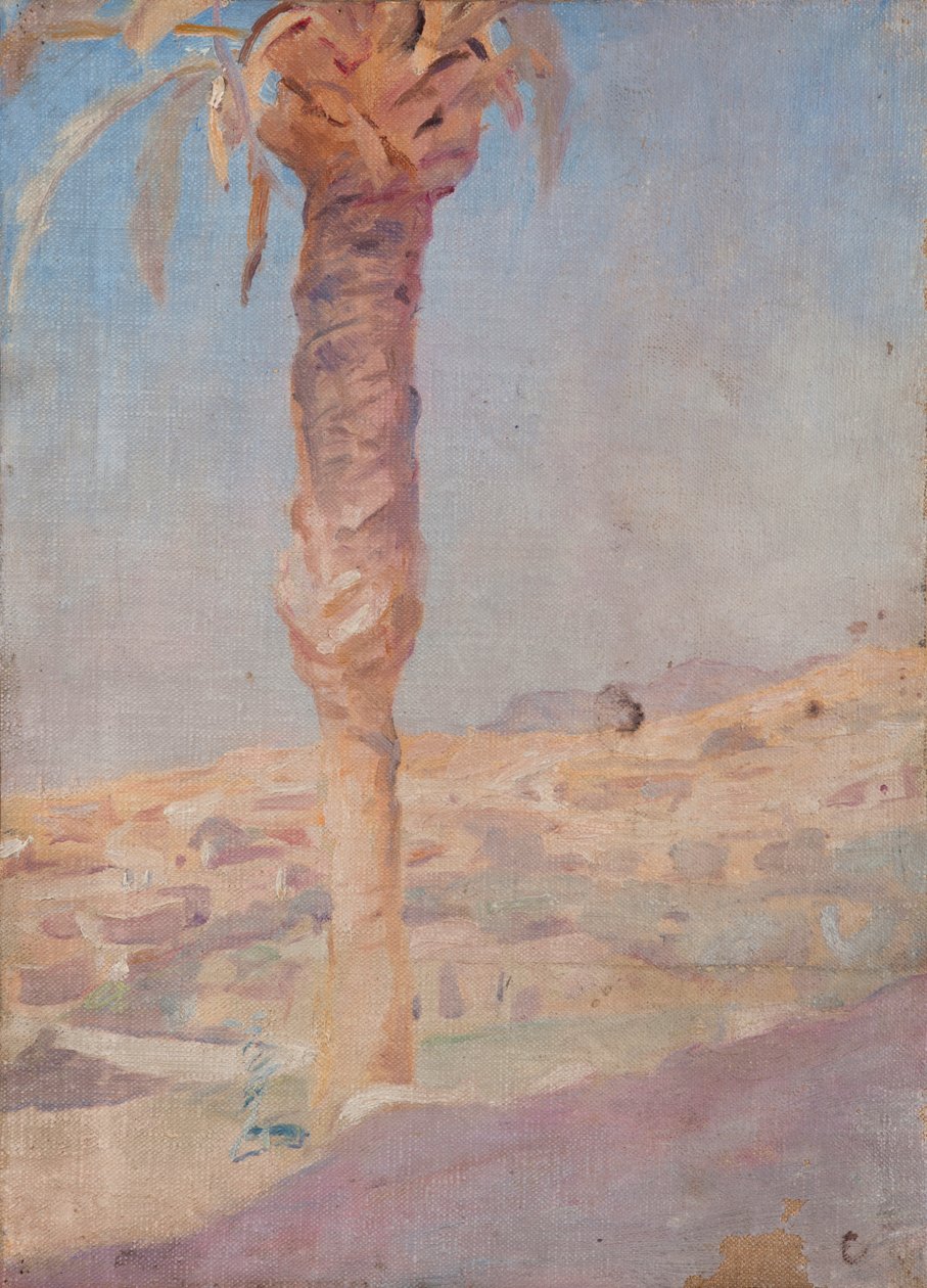 Spanien (Crevillente) af Jan Ciągliński