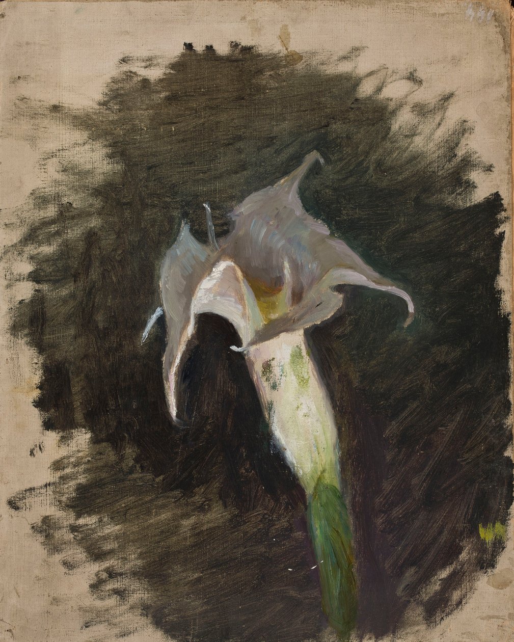 Blomst af Jan Ciągliński