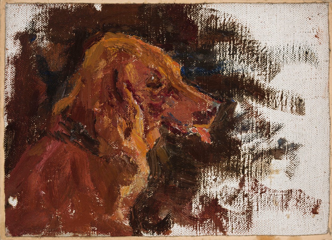 Mariino - Studie af et hundehoved til "Portræt af fyrst Golitsyn" af Jan Ciągliński