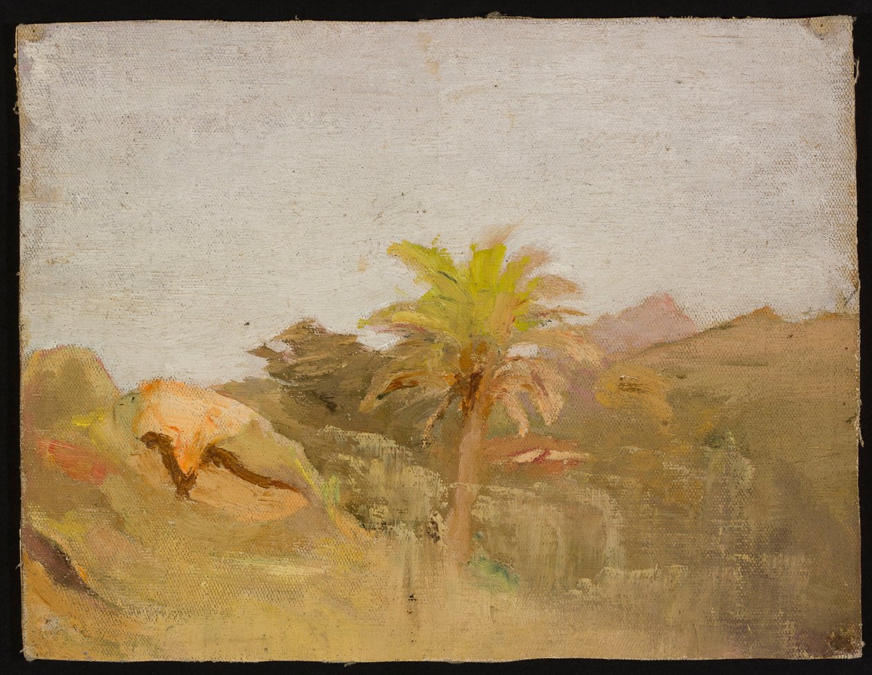 Palme auf Ceylon. Aus einer Reise nach Indien af Jan Ciągliński