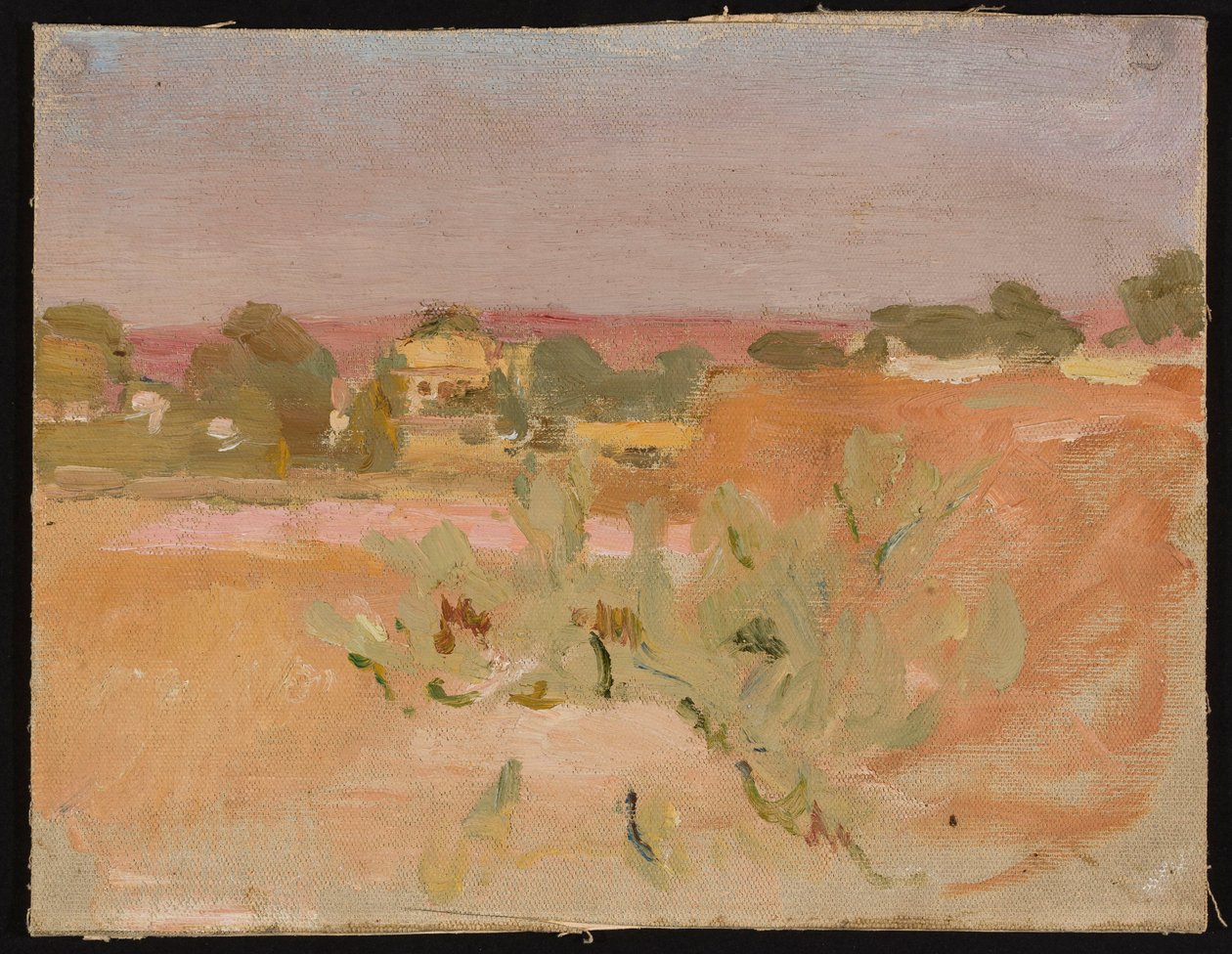 Rosa Landschaft mit Kakteen. Aus einer Reise nach Indien af Jan Ciągliński