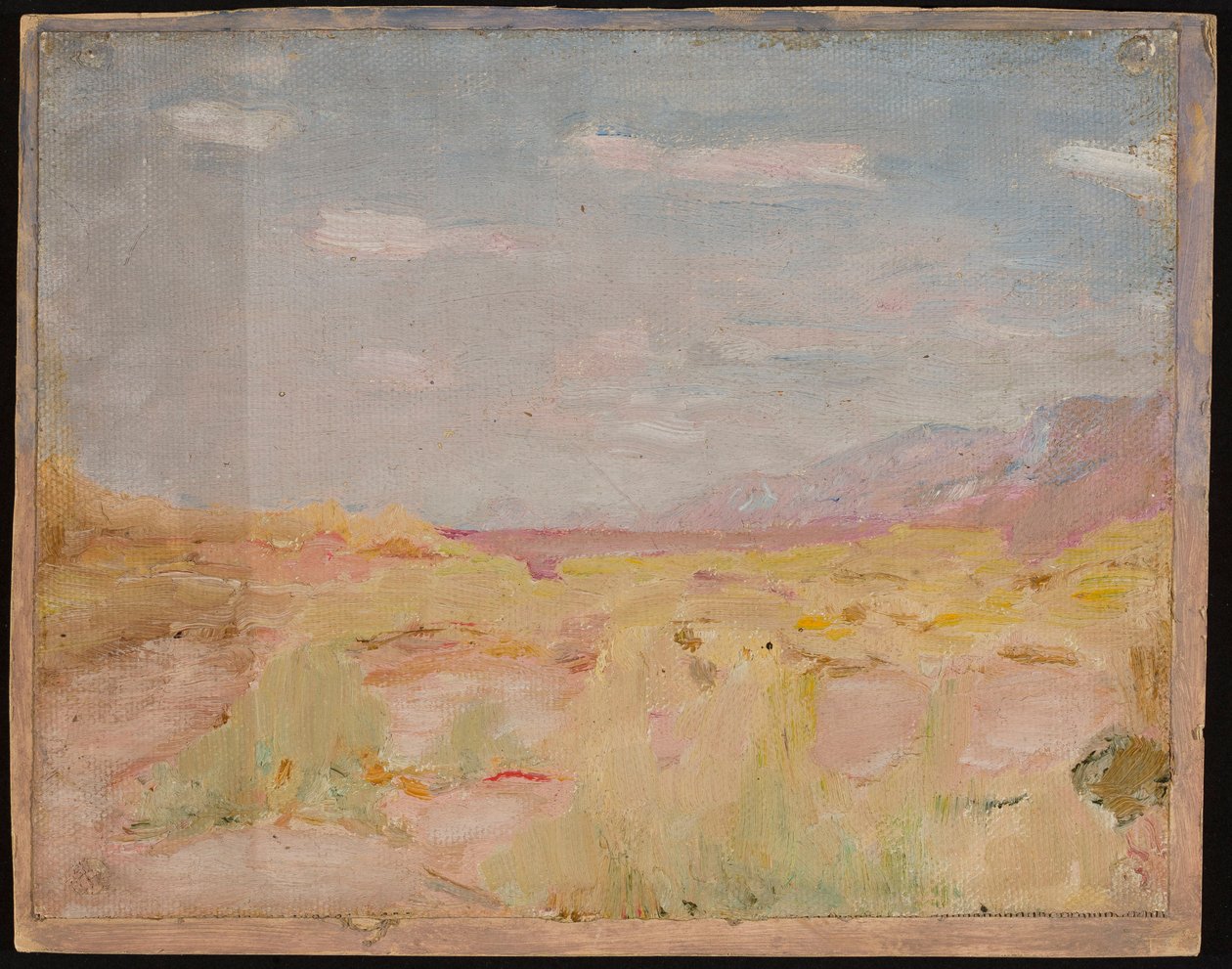 Steppe (Transkaspiske region). Fra en rejse til Turkestan af Jan Ciągliński
