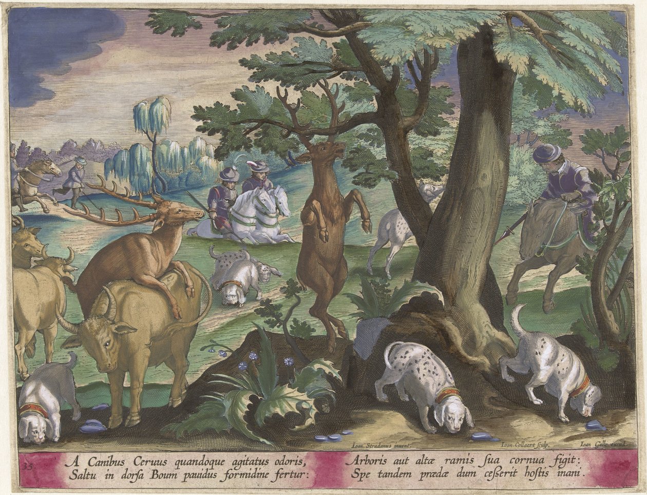 Hertenjacht met honden Jachttaferelen (serietitel) Jagten på vildt, fugle og fisk i Bestiary (serietitel) af Jan Collaert