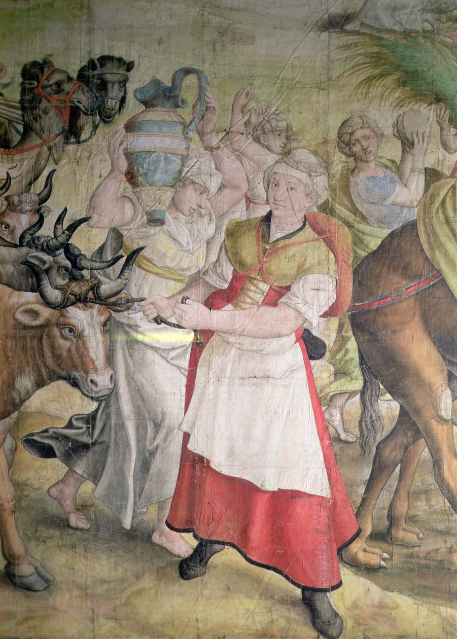 Kampagne af kejser Charles V af Jan Cornelisz Vermeyen